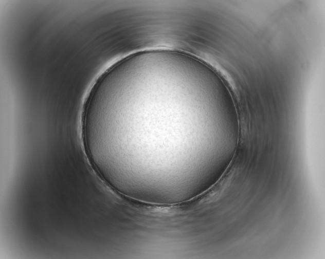 X0000093511480200711021019