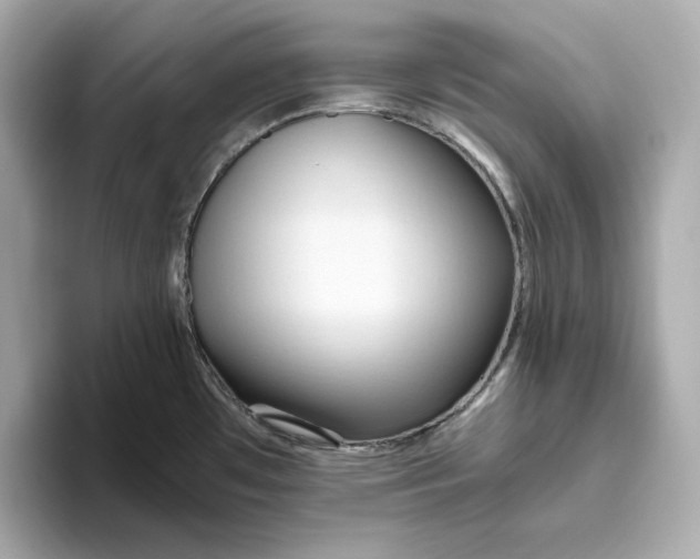 X0000093511481200711021019