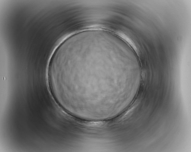 X0000093511482200711021019