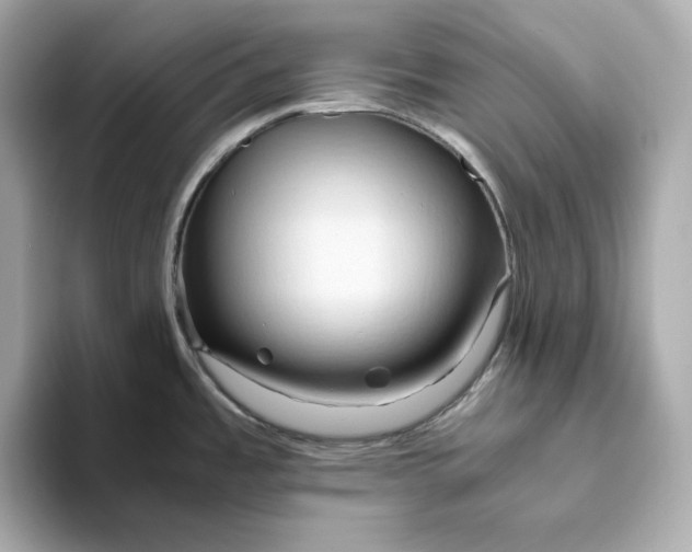 X0000093511485200711021019