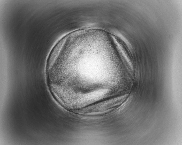 X0000093511487200711021019