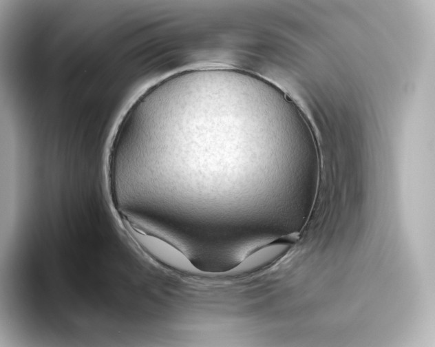 X0000093511488200711021019