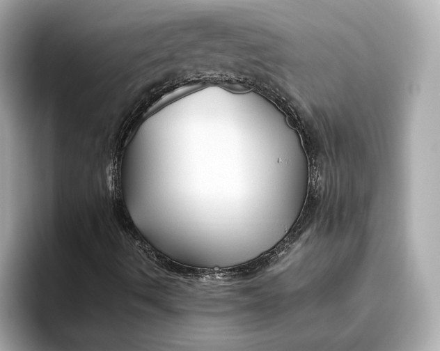 X0000093511490200711021018