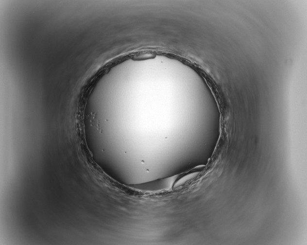 X0000093511496200711021018