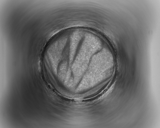 X0000093511497200711021018