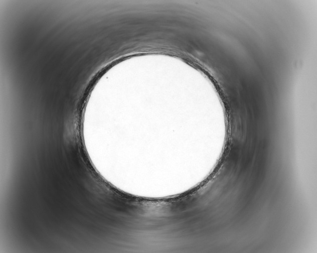 X0000093511498200711021018