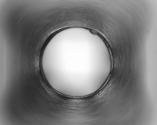 X0000093511499200711021018