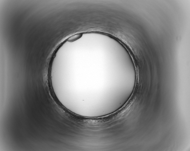 X0000093511500200711021018