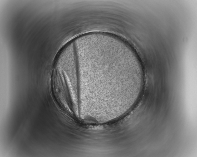 X0000093511505200711021018