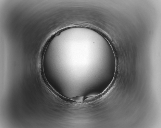 X0000093511506200711021018