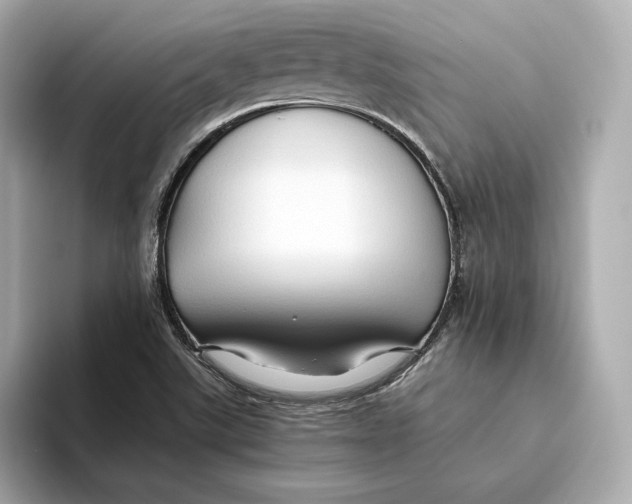 X0000093511507200711021018