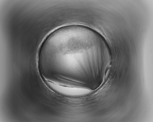 X0000093511508200711021018