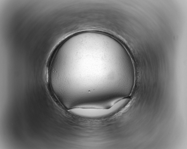 X0000093511509200711021018