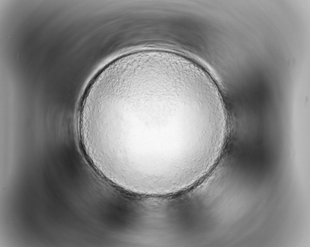 X0000093511514200711021018