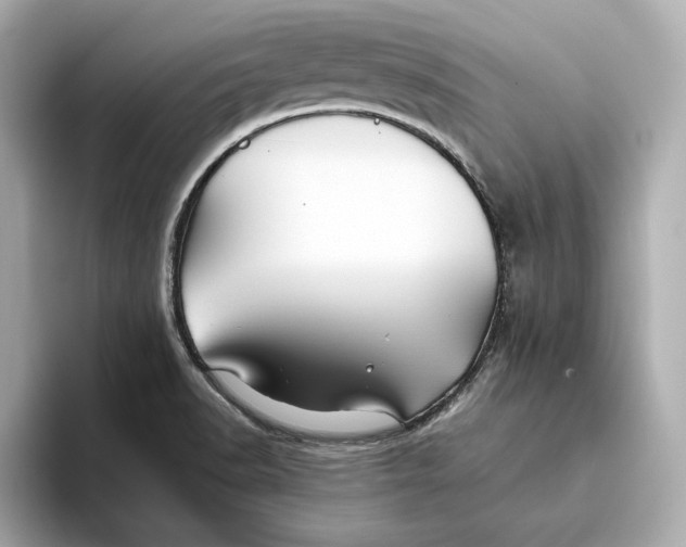 X0000093511518200711021018