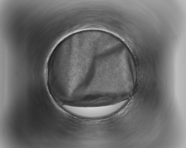 X0000093511519200711021018