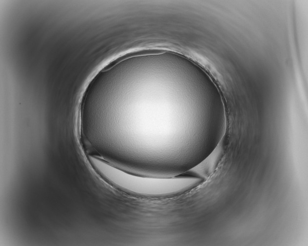 X0000093511520200711021018