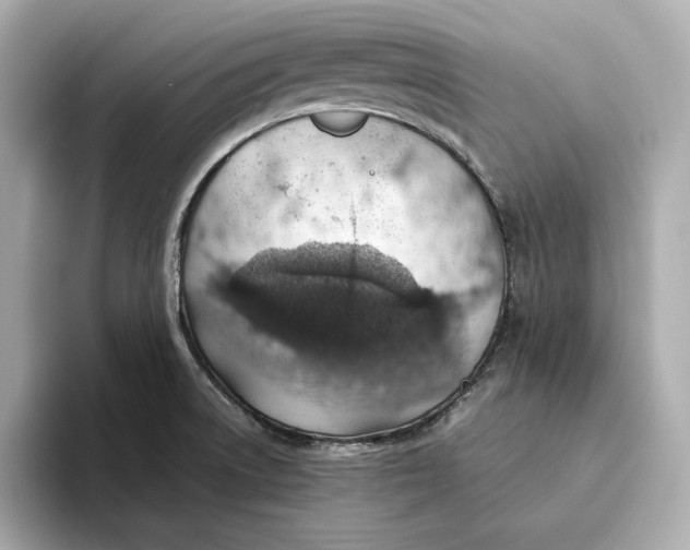 X0000093511522200711021018