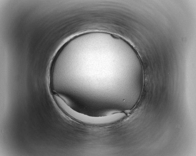 X0000093511523200711021018