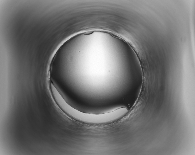 X0000093511524200711021018