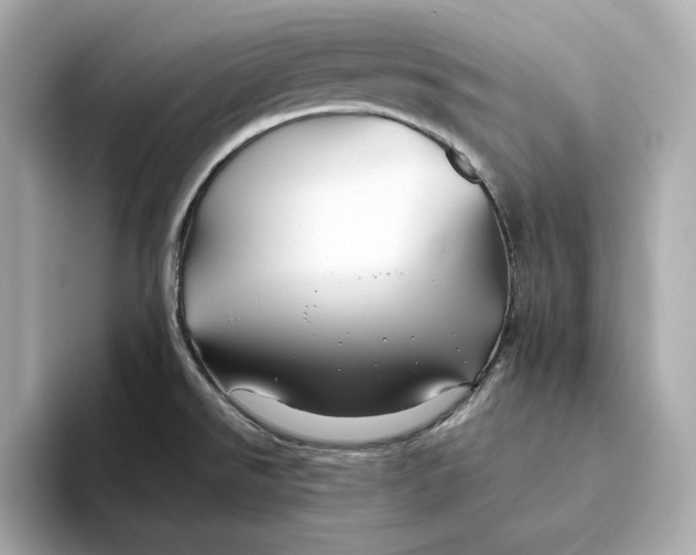 X0000093511526200711021018