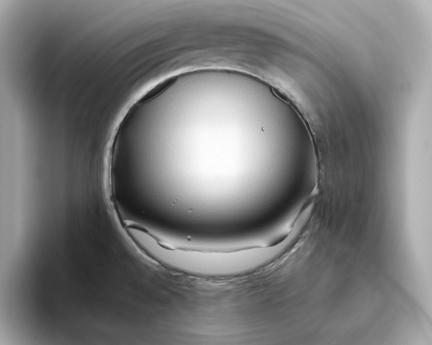 X0000093511528200711021019