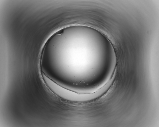 X0000093511530200711021019