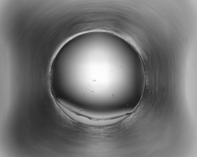 X0000093511532200711021019