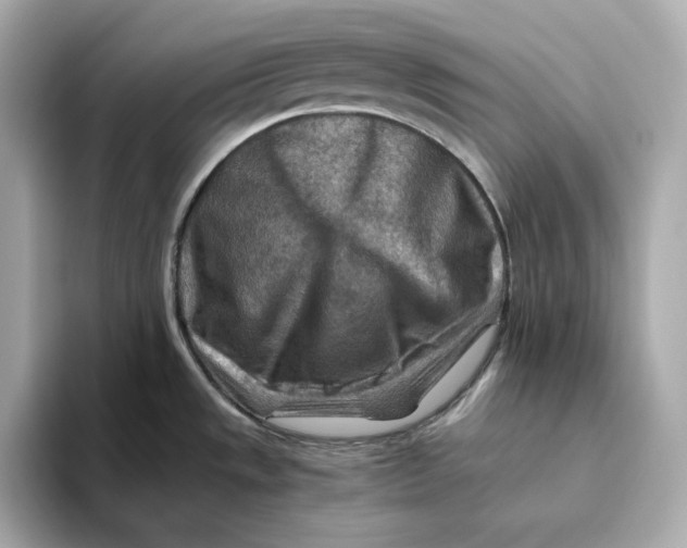 X0000093511533200711021019