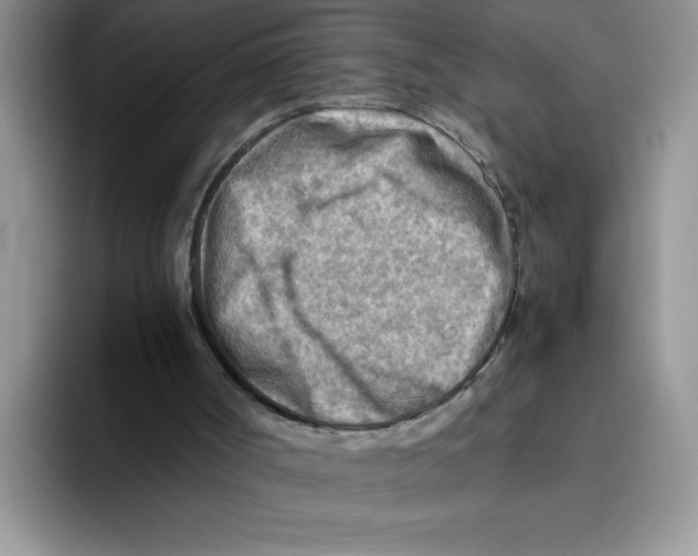 X0000093510002200711091730