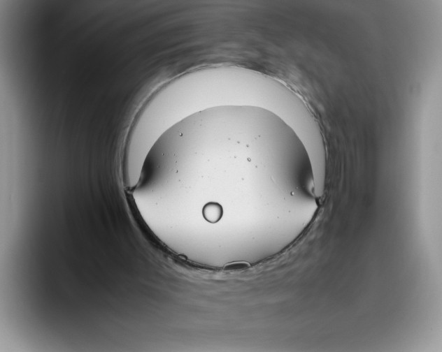 X0000093510003200711091730