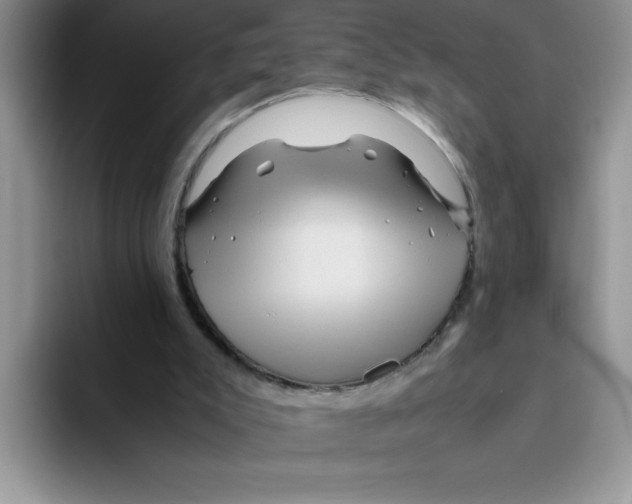 X0000093510007200711091730