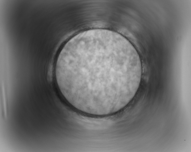 X0000093510012200711091730