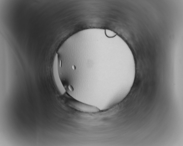 X0000093510017200711091730