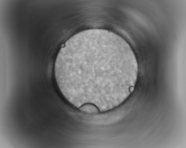 X0000093510018200711091730