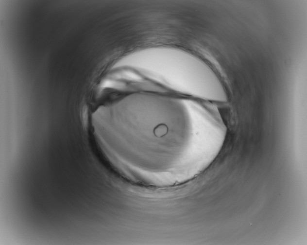 X0000093510019200711091730