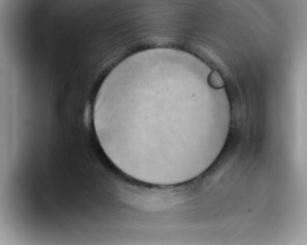 X0000093510024200711091729