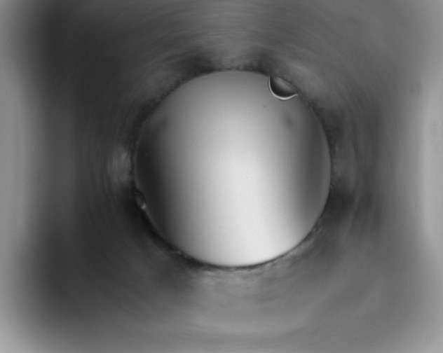 X0000093510025200711091729