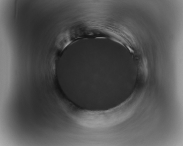 X0000093510029200711091729