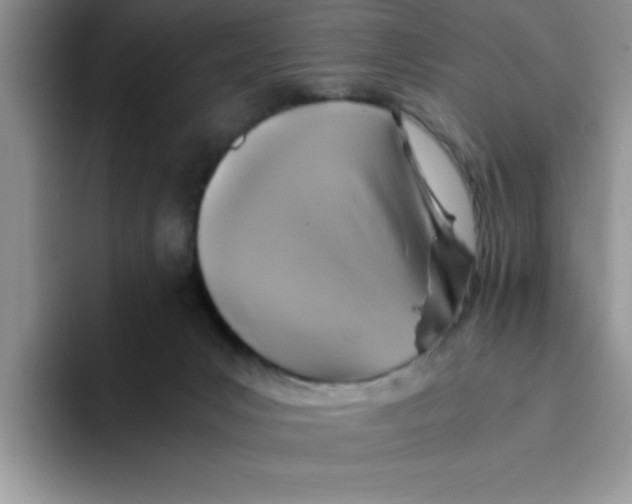 X0000093510031200711091729