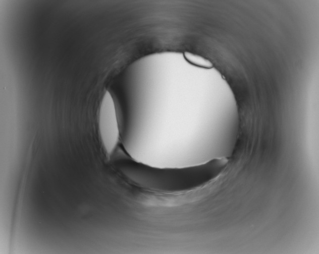 X0000093510033200711091729