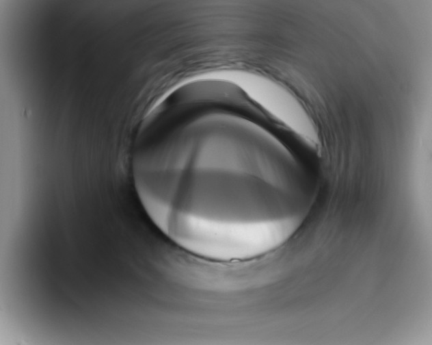 X0000093510035200711091729