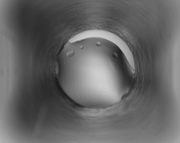 X0000093510037200711091729