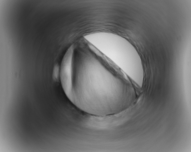 X0000093510041200711091729