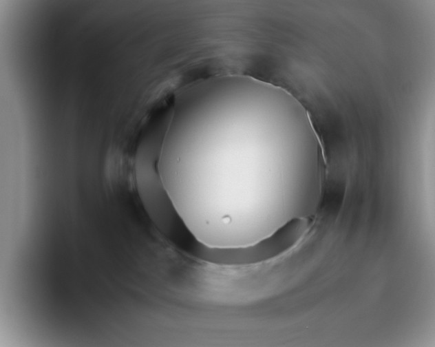 X0000093510045200711091729