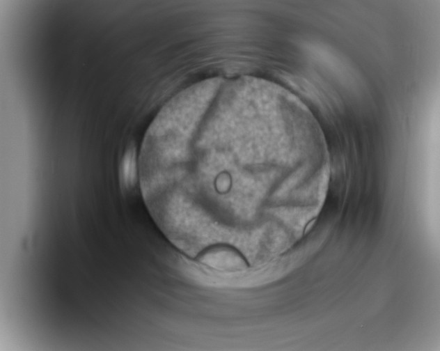 X0000093510046200711091729