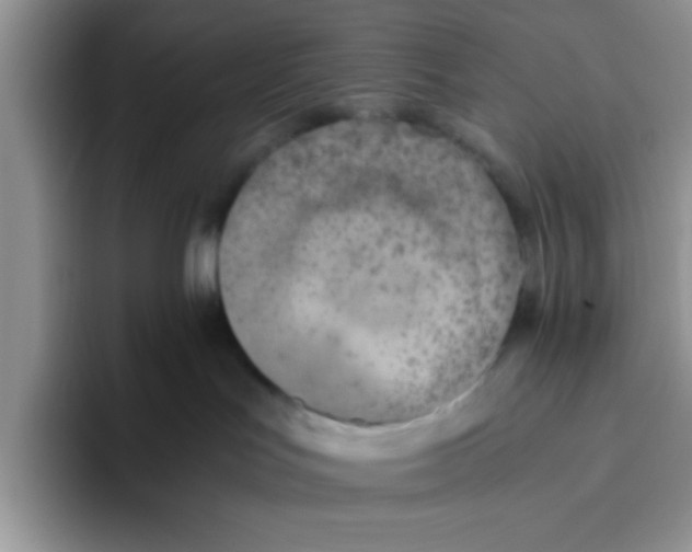 X0000093510047200711091729