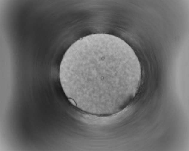 X0000093510048200711091729