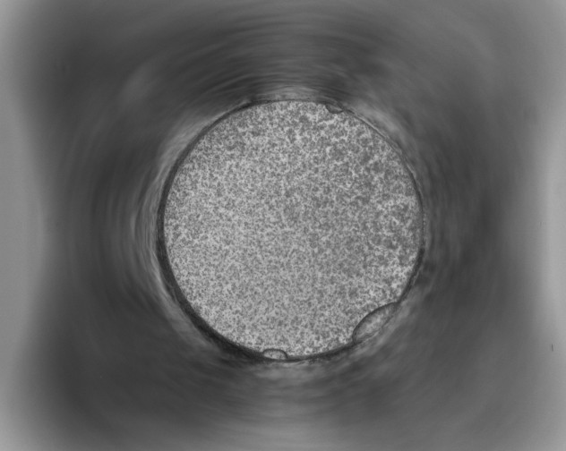 X0000093510049200711091728