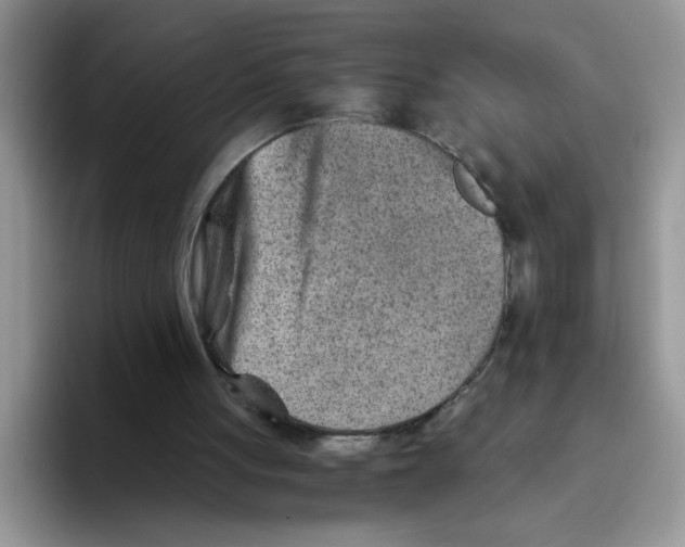 X0000093510051200711091728